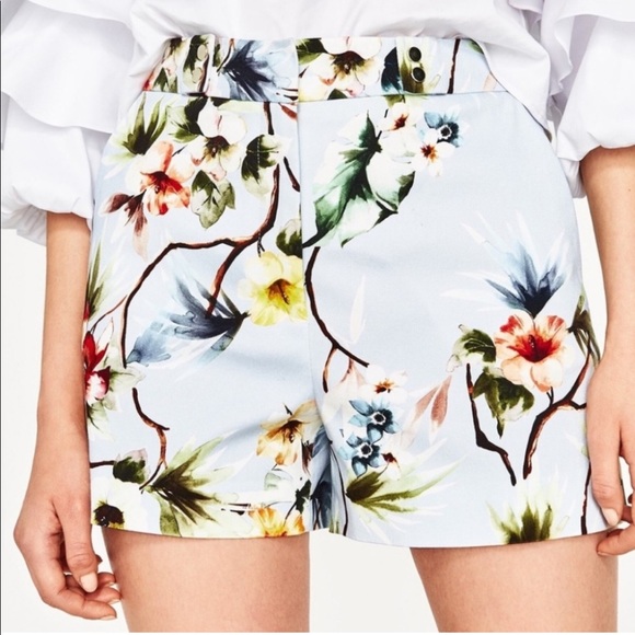 Zara Pants - Zara Basic Collection Glen Floral Hawaiian Tropical Dressy Shorts Medium